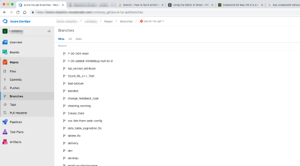 Fetching all branches and tags from a remote Git repository