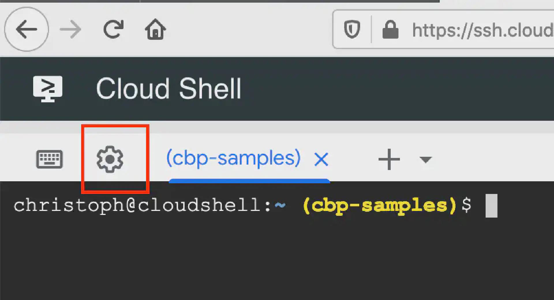 Typing special characters in Google Cloud Shell